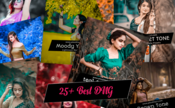 Best Premium Lightroom Presets Download 2024